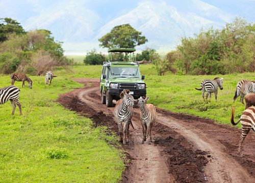 10-DAY FROM KENYA TO TANZANIA - HIGH-END